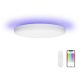 Yeelight Arwen 450S XA0097